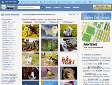 Tablet Screenshot of animals.desktopnexus.com